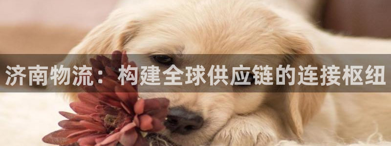 超凡国际注册用户名是什么：济南物流：