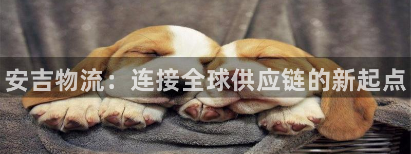 超凡国际大舞台：安吉物流：连接全球供应链的新起点