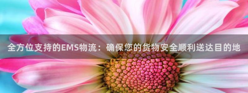 超凡国际娱乐官网网页下载：全方位支持