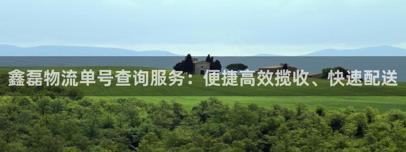 超凡国际防失联网址：鑫磊物流单号查询