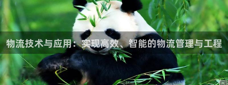 超凡国际正规吗?：物流技术与应用：实