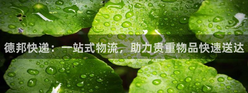 超凡国际昵称：德邦快递：一站式物流，