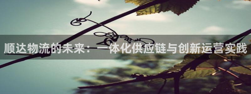 超凡国际是什么是赌博吗?：顺达物流的