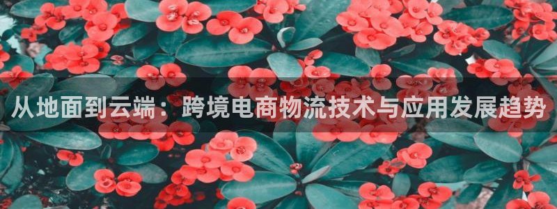 超凡国际技巧：从地面到云端：跨境电商