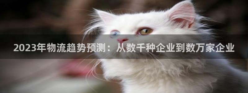 超凡国际充值不处理怎么办：2023年物流趋势预测：从数千种企
