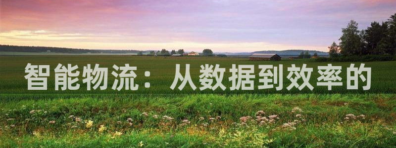 超凡国际加拿大最新版：智能物流：从数据到效率的