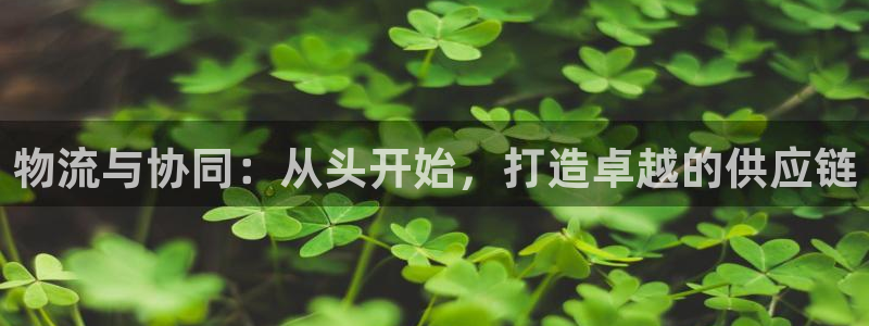 超凡国际官网入口pcios：物流与协