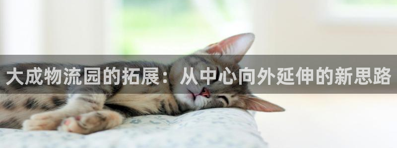 超凡国际p扣除是什么意思：大成物流园的拓展：从中心向外延伸的