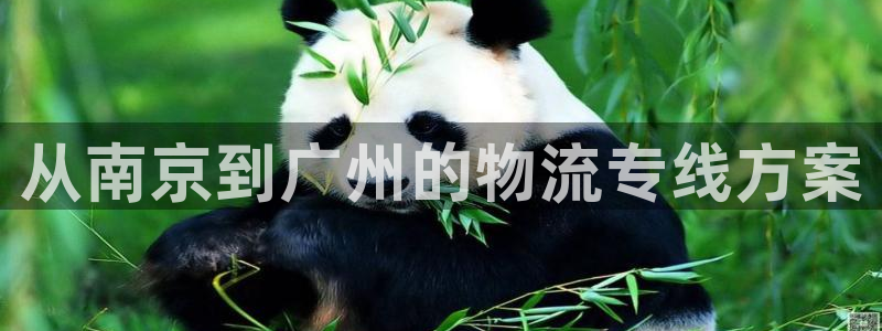 超凡国际注册平台:从南京到广州的物流