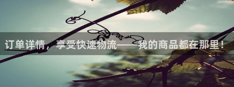 超凡国际麻将胡了：订单详情，享受快速