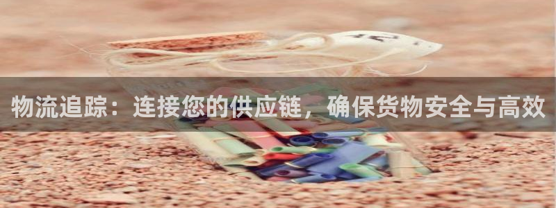 超凡国际官网网站:物流追踪:连接您的