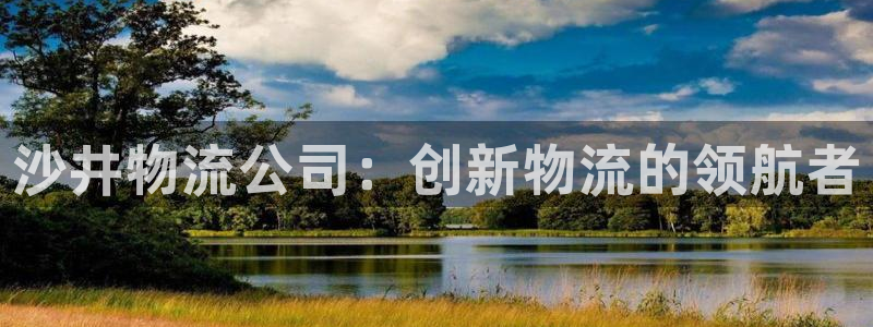 超凡国际登录流程：沙井物流公司：创新