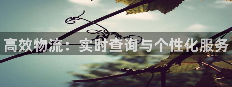 超凡国际预测加拿大：高效物流：实时查