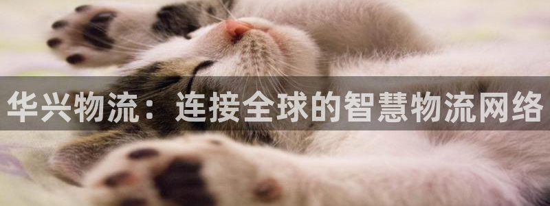 超凡国际注册链接入口：华兴物流：连接全球的智慧物流网络
